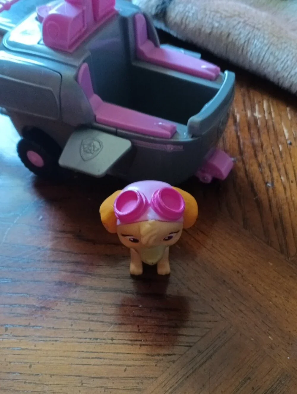 Paw Patrol iconic paw